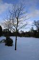 Snowy_Weather_Feb_09 (5)